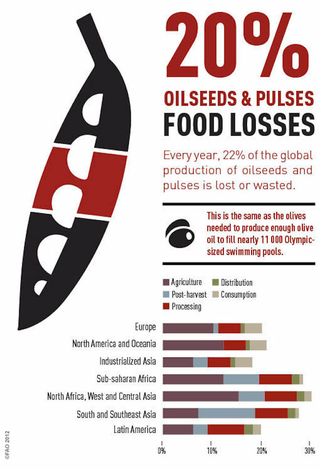 Illustration for article titled These Charts Show Which Foods Are Most Likely To Be Wasted